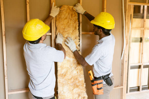 Types of Insulation We Offer in Telluride, CO